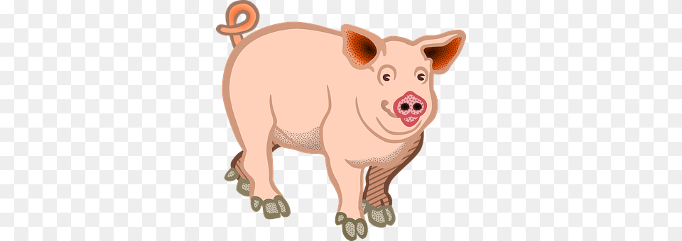 Pig Animal, Mammal, Hog, Canine Free Png Download