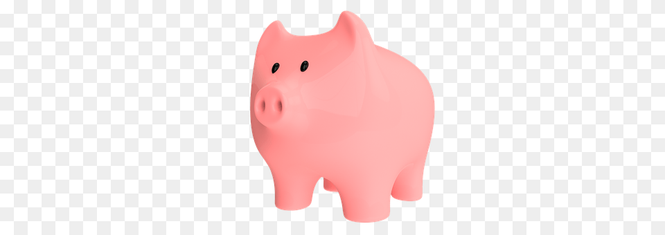Pig Piggy Bank, Animal, Mammal Free Png Download