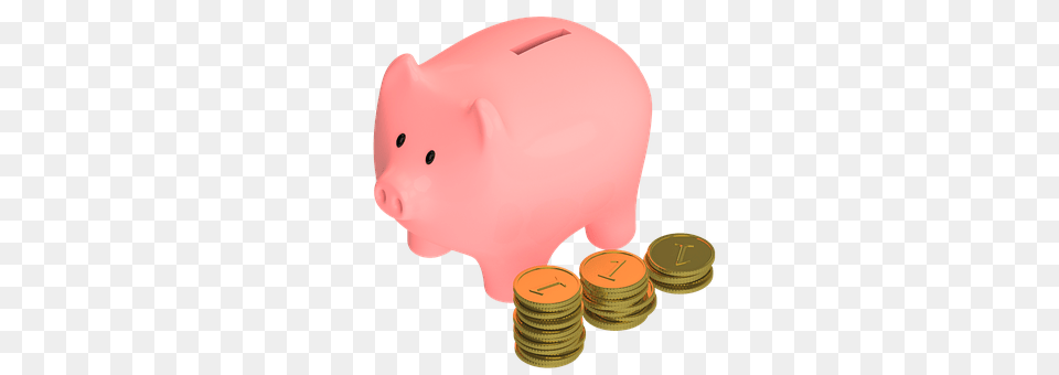 Pig Piggy Bank Png Image