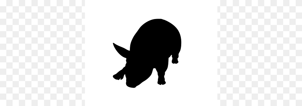 Pig Silhouette, Animal, Bear, Mammal Png