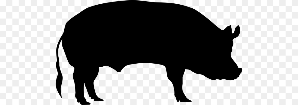 Pig Gray Png Image