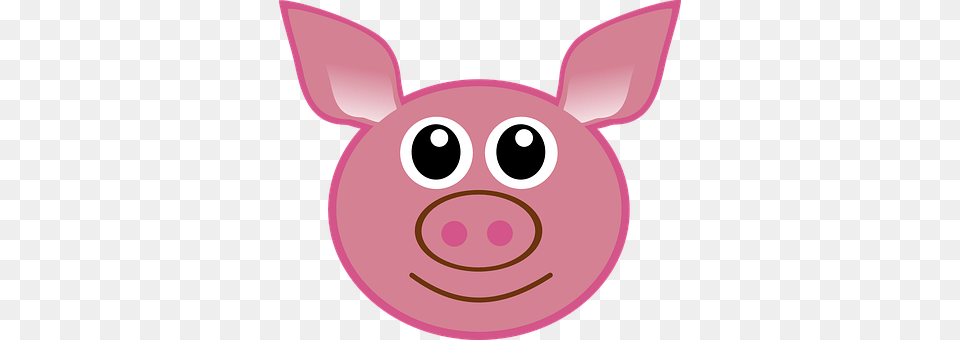 Pig Animal, Mammal, Disk Png Image