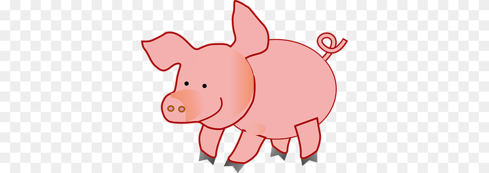 Pig Animal, Mammal Free Png Download
