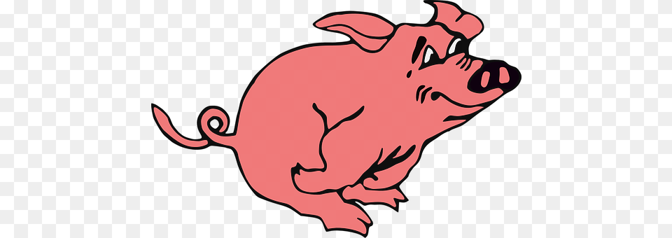 Pig Animal, Mammal, Hog, Fish Png Image