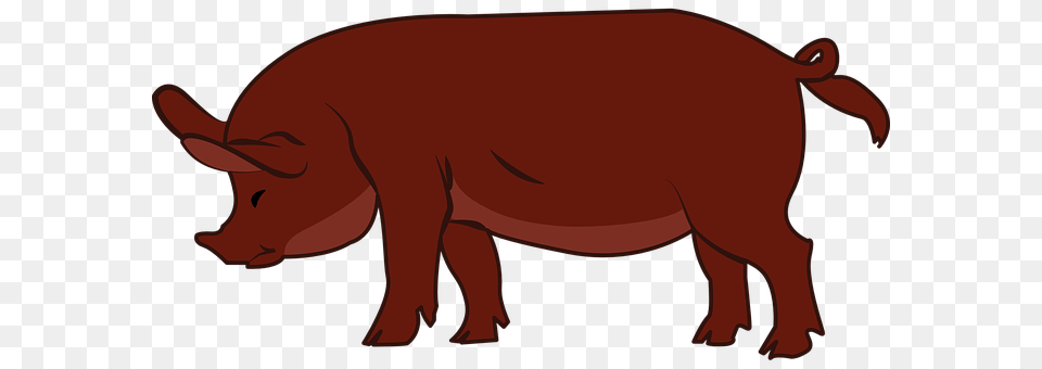 Pig Animal, Mammal, Hog, Boar Free Transparent Png