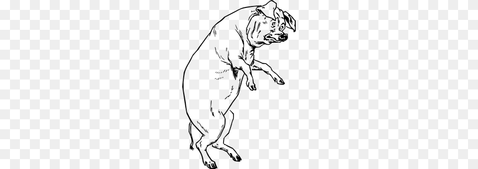 Pig Gray Free Png