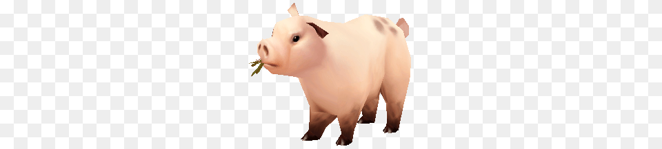 Pig, Animal, Mammal, Hog, Piggy Bank Free Png