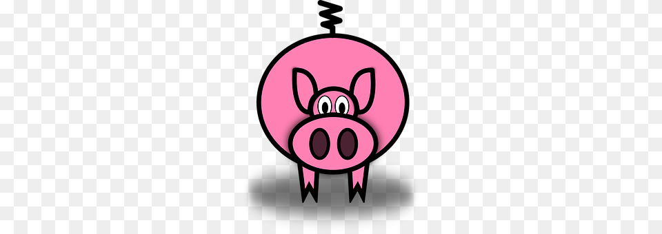 Pig Animal, Mammal Png