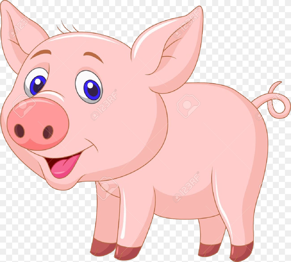 Pig Baby Pi Transparent Pig Clipart, Animal, Mammal, Hog Free Png