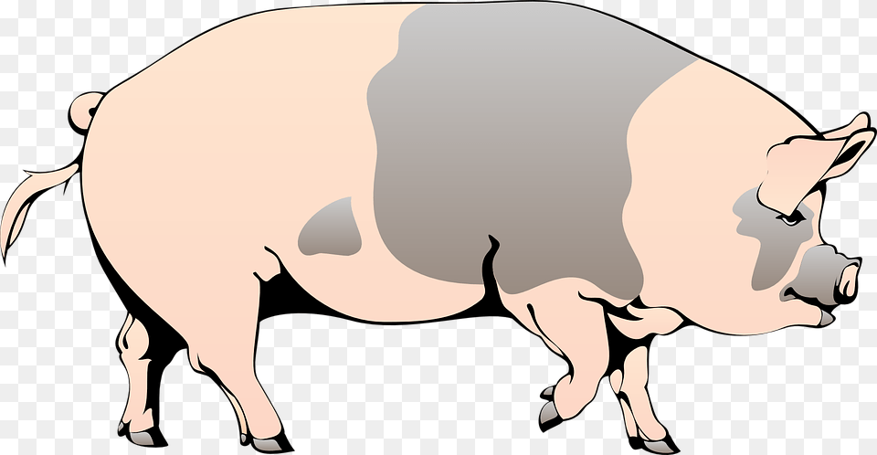 Pig Barn Farm Animal Spotted Slops Pig Clipart, Hog, Boar, Wildlife, Mammal Free Transparent Png