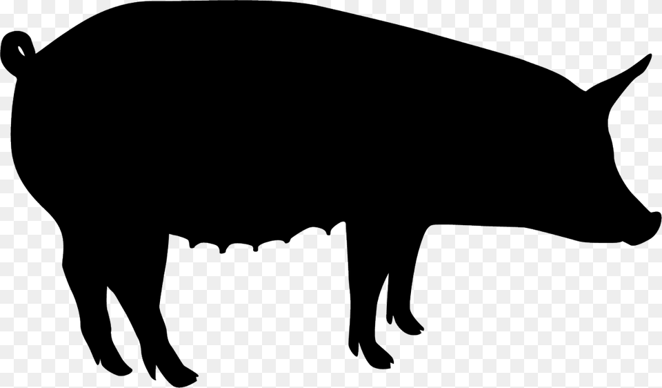 Pig Black Silhouette Silhouette Of A Bison, Animal, Boar, Hog, Mammal Png Image
