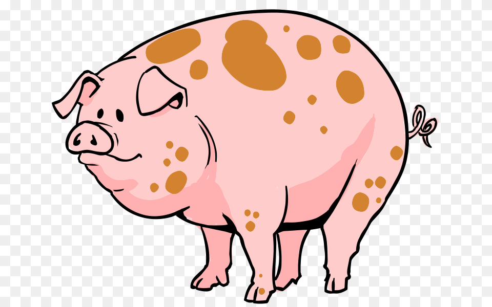 Pig Cartoon, Animal, Hog, Mammal, Face Free Png Download