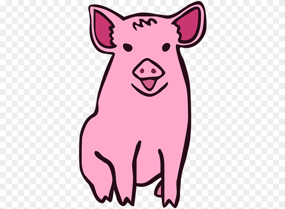 Pig Cartoon Animal Piglet Swine Hog Farm Piggy 30 50 Feral Hogs Twitter, Mammal, Boar, Wildlife, Canine Free Transparent Png