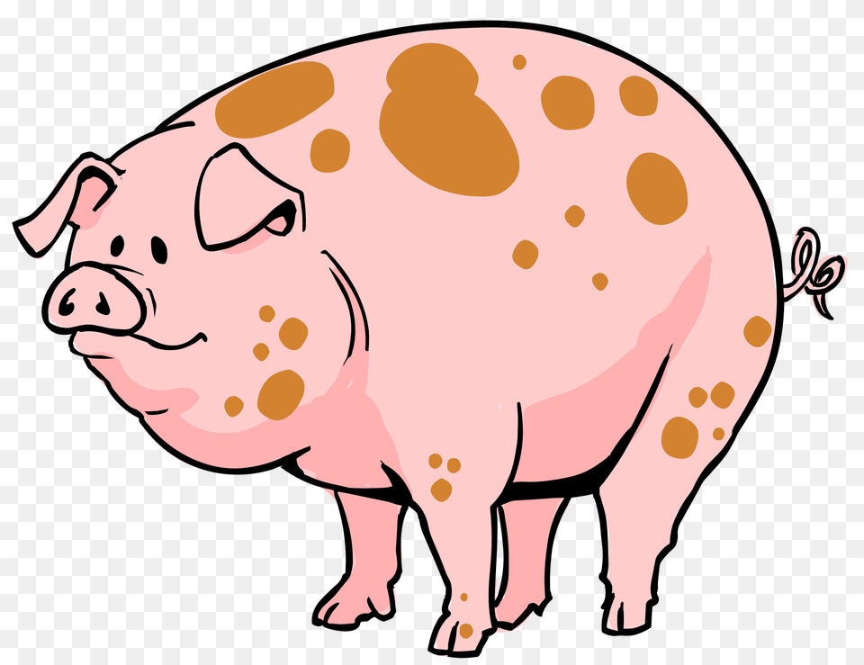 Pig Cartoon Pictures Image Group, Animal, Mammal, Hog, Person Png