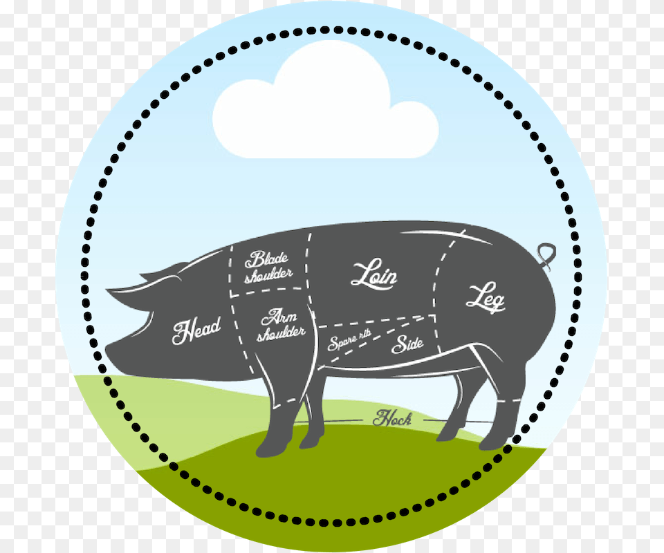 Pig Circle Illustration, Animal, Mammal Png Image