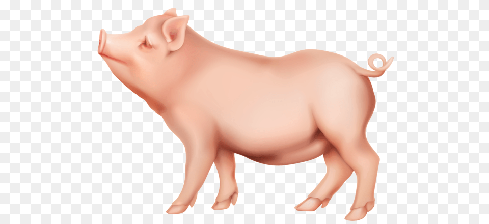 Pig Clip Art, Animal, Hog, Mammal, Boar Free Png Download