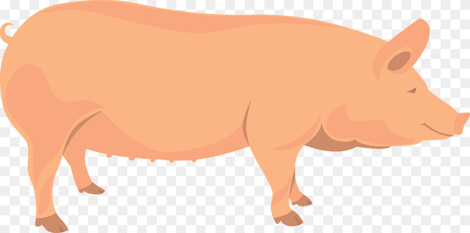 Pig Clipart, Animal, Boar, Hog, Mammal Free Transparent Png