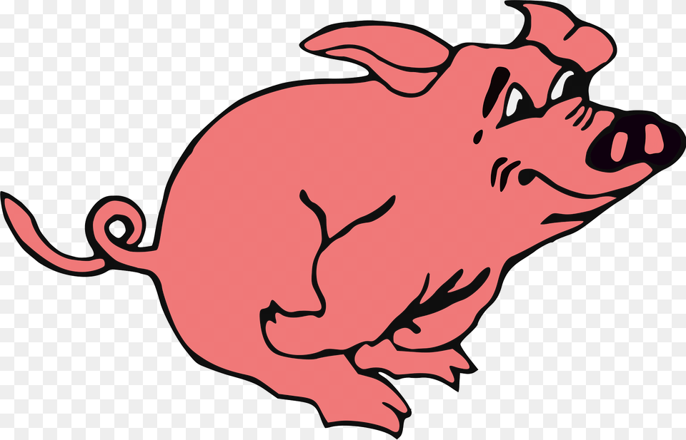 Pig Clipart, Animal, Hog, Mammal, Baby Png