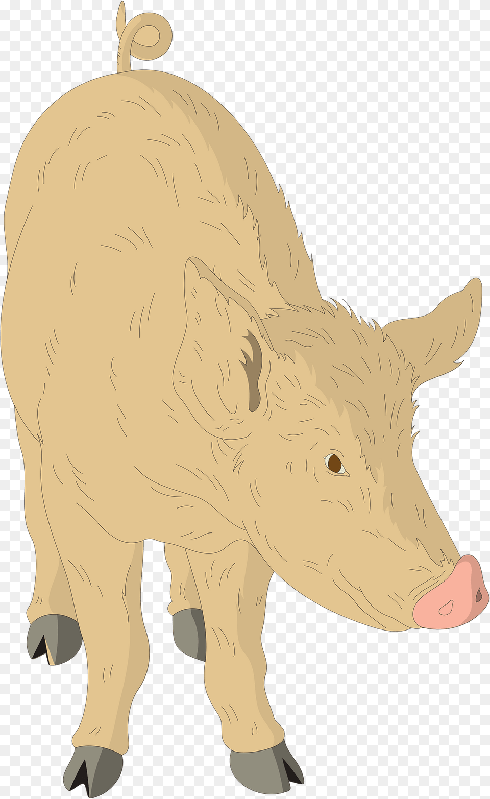 Pig Clipart, Animal, Boar, Hog, Mammal Free Png Download