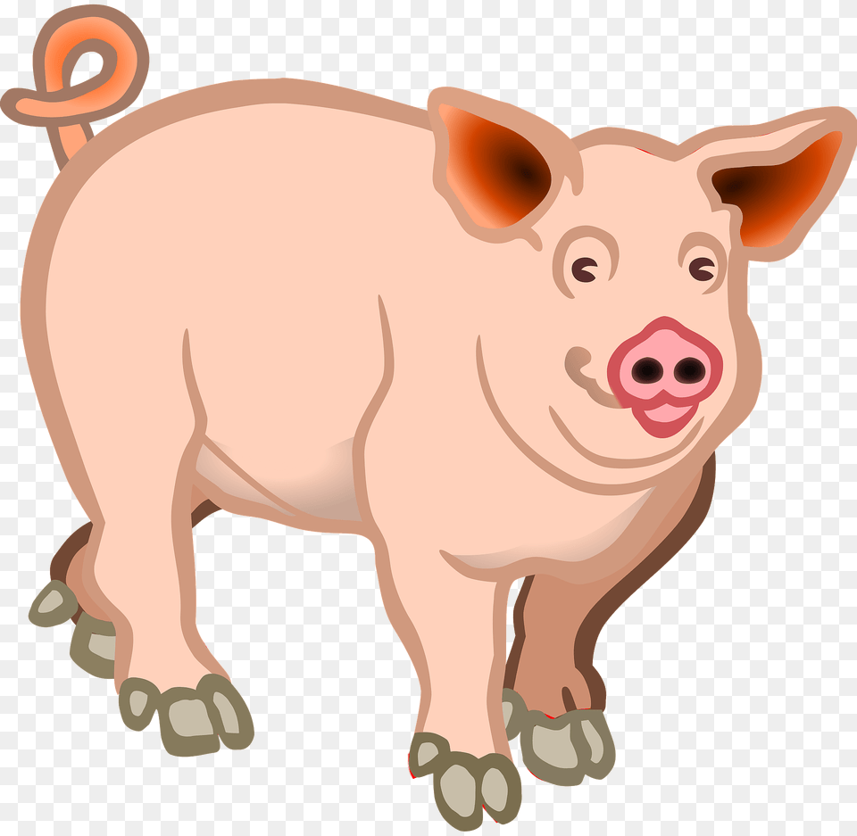 Pig Clipart, Animal, Mammal, Hog Free Transparent Png