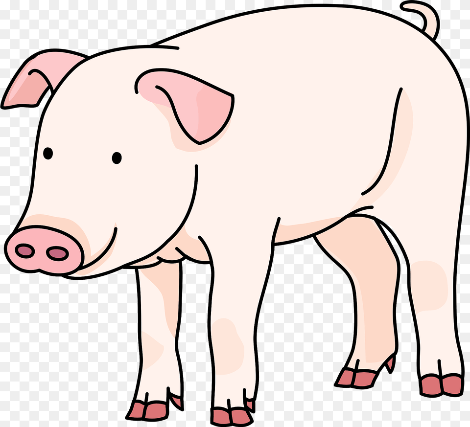 Pig Clipart, Animal, Mammal, Hog, Wildlife Free Png