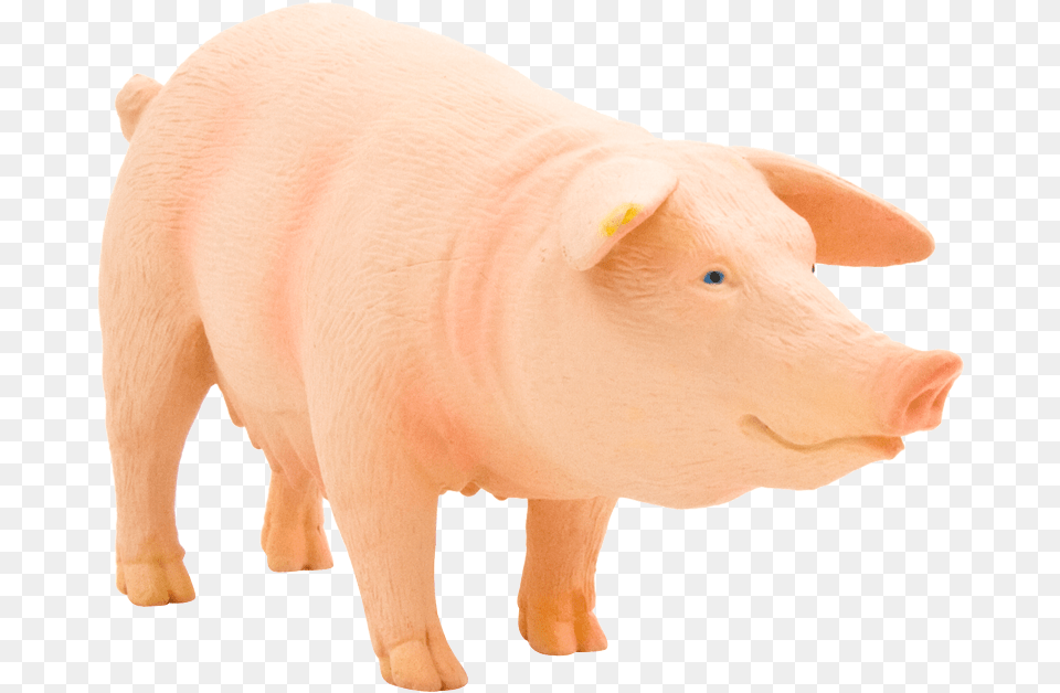 Pig Clipart, Animal, Mammal, Hog Png Image