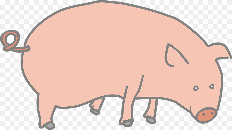 Pig Clipart, Animal, Hog, Mammal, Boar Free Png