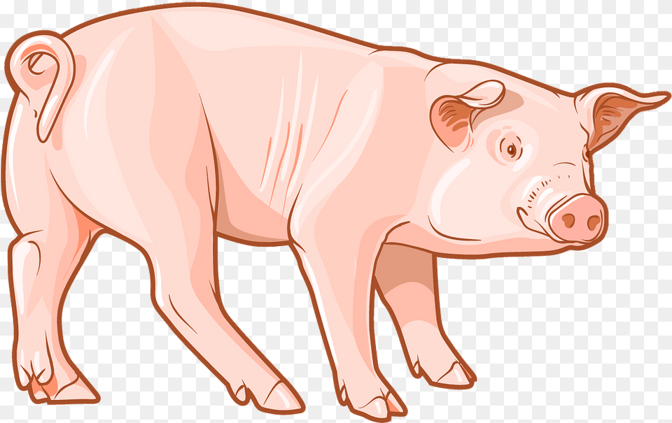 Pig Clipart Domestic Pig, Animal, Mammal, Hog, Boar Free Transparent Png
