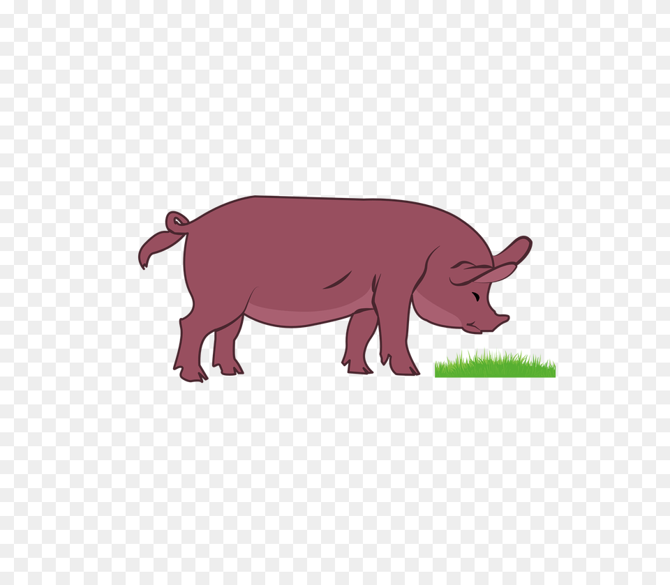 Pig Clipart Vector Image Download, Animal, Mammal, Wildlife Free Transparent Png