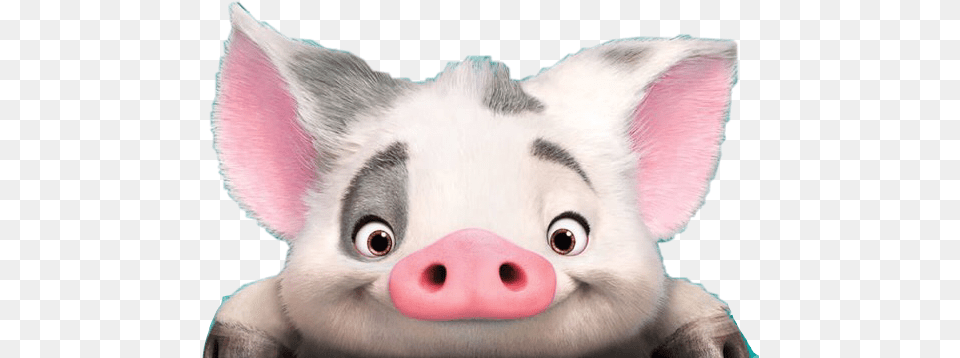 Pig Disney Moana Happy Easter, Animal, Mammal, Snout, Bear Png