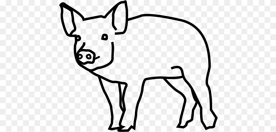 Pig Domestic Pig, Gray Free Png Download