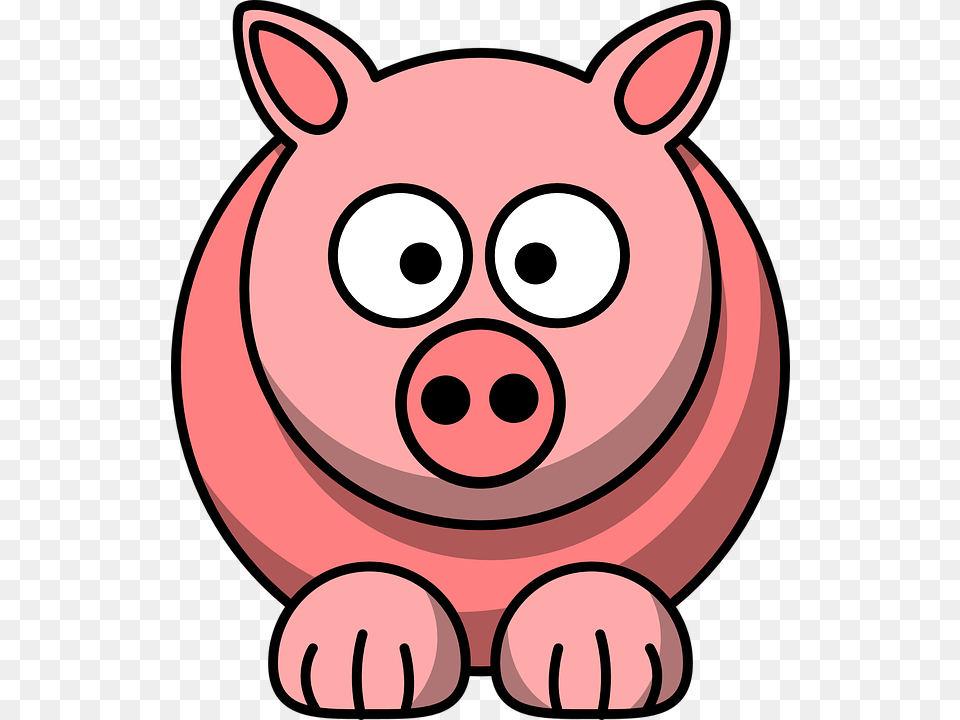Pig Face Clipart, Animal, Bear, Mammal, Wildlife Free Transparent Png