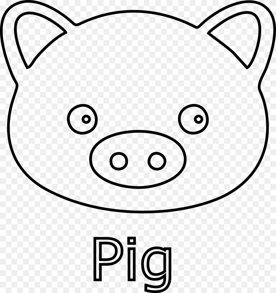 Pig Face Domestic Pig, Gray Png