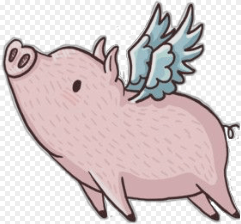 Pig Flying Freetoedit Cartoon Pig With Wings, Animal, Mammal, Hog, Boar Png Image