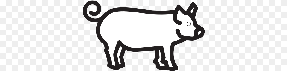 Pig Icon Of Selman Icons Animal Figure, Mammal, Hog, Boar, Wildlife Free Transparent Png