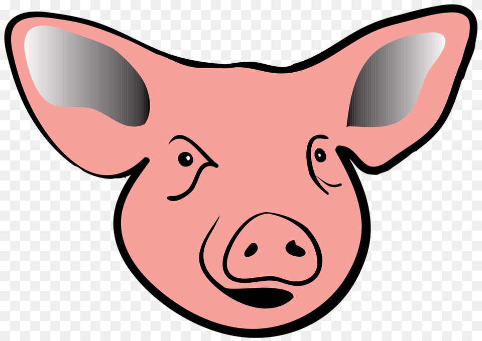 Pig Head Clipart, Animal, Mammal, Hog, Kangaroo Png Image
