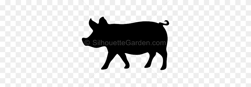 Pig Head Drawing Clipart Clipart, Animal, Boar, Hog, Mammal Free Png