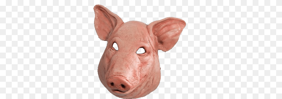 Pig Head Freeuse Stock De Porco, Animal, Mammal, Hog Png Image