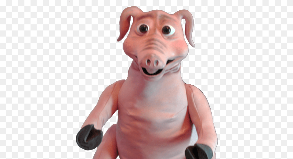 Pig Latex Puppet From Allpropuppets Pig Puppet, Baby, Person, Animal, Face Free Png