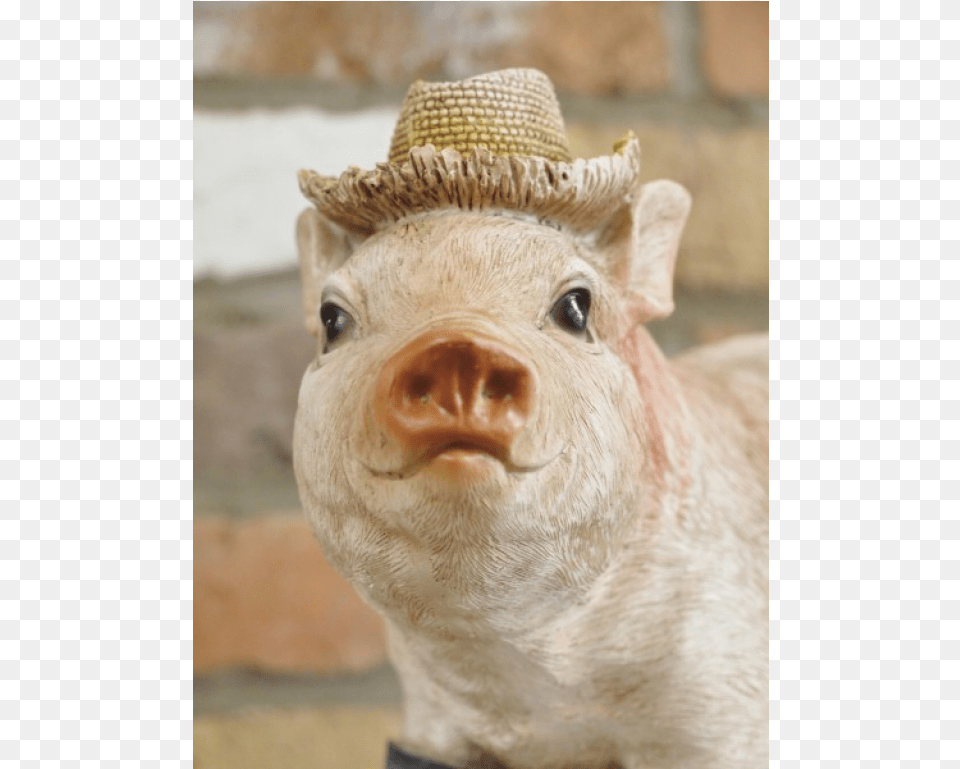 Pig Nose, Animal, Mammal, Clothing, Hat Free Png Download
