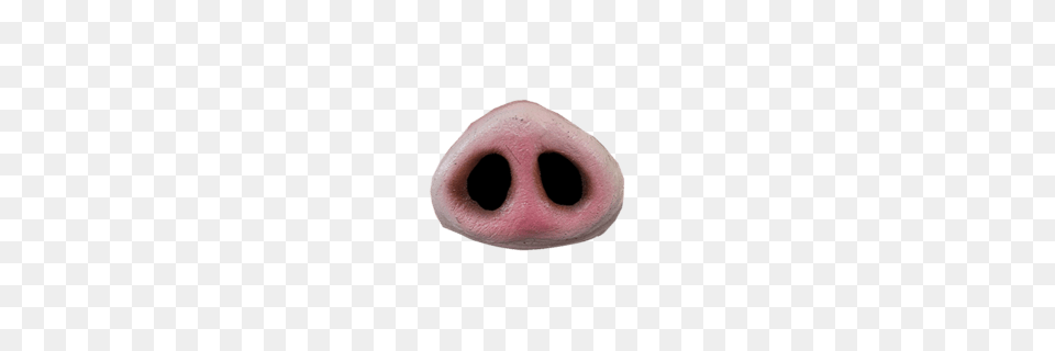 Pig Nose, Snout, Hole Free Transparent Png