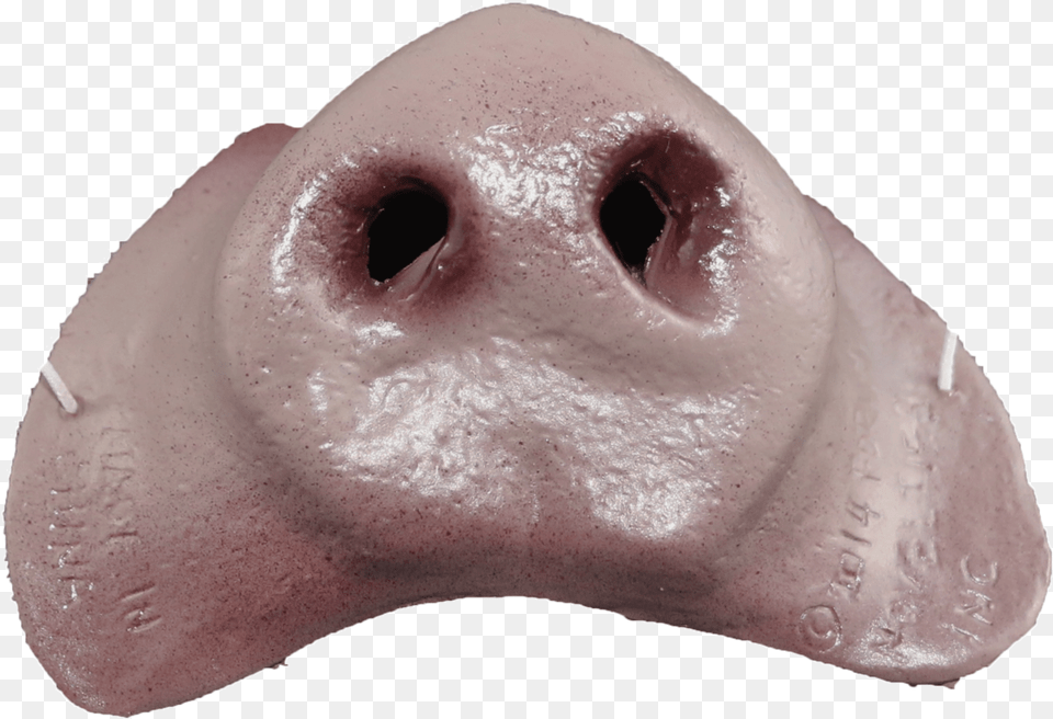 Pig Nose Transparent, Snout, Baby, Person, Face Free Png