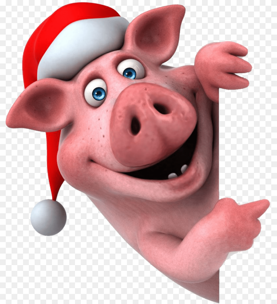 Pig Santa Hat Peekaboo Cartoon Funny Pig, Baby, Person Png Image