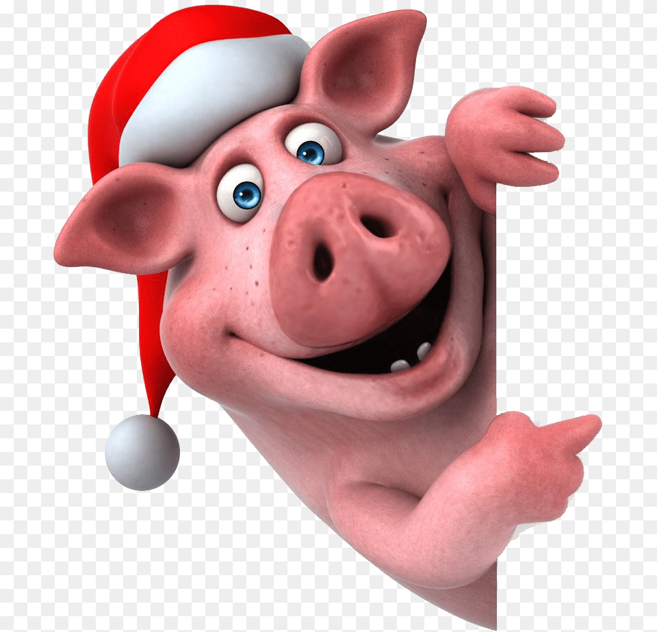 Pig Santa Hat Peekaboo Funny Pig, Baby, Person Png Image