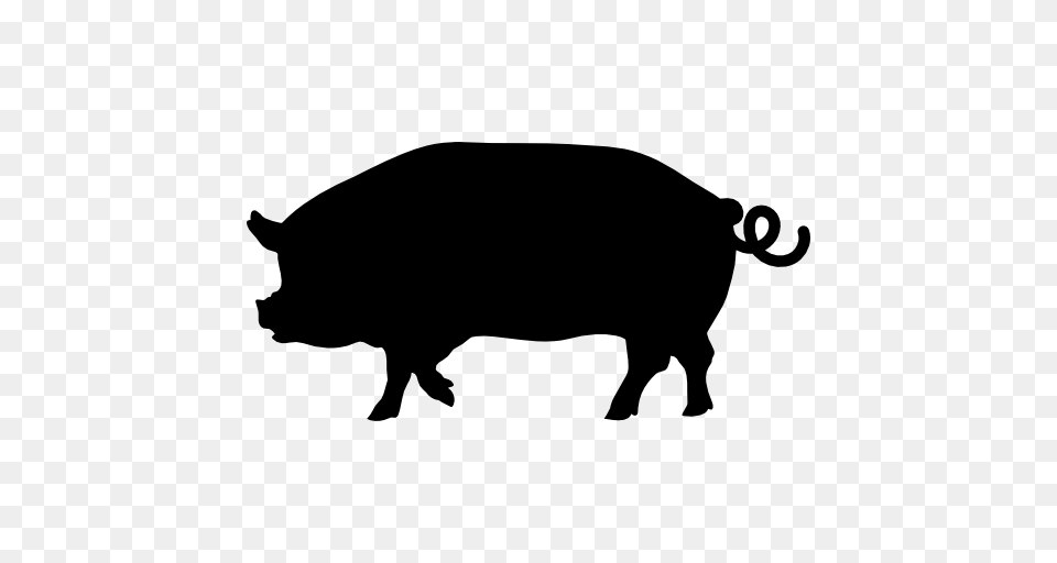 Pig Side View Silhouette Vector Icons Designed, Animal, Boar, Hog, Mammal Free Png