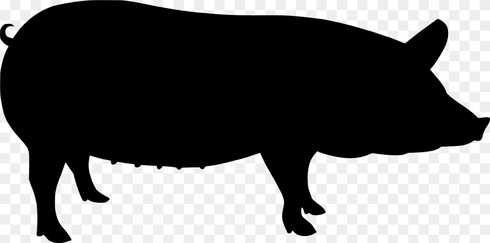 Pig Silhouette, Animal, Boar, Hog, Mammal Free Png Download