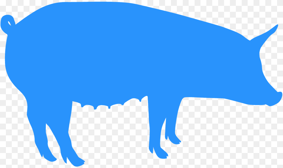 Pig Silhouette, Animal, Boar, Hog, Mammal Png Image