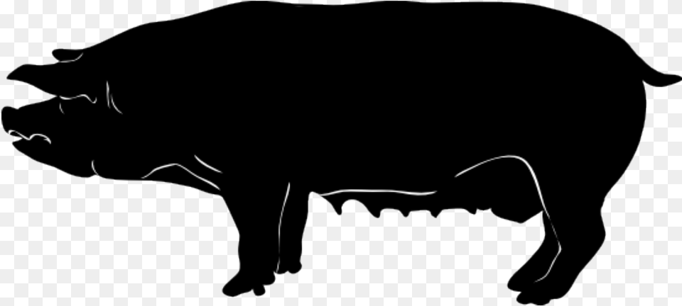 Pig Silhouette Piggy Fun Kids Clip Art Pigs Silhouette, Animal, Boar, Hog, Mammal Png Image