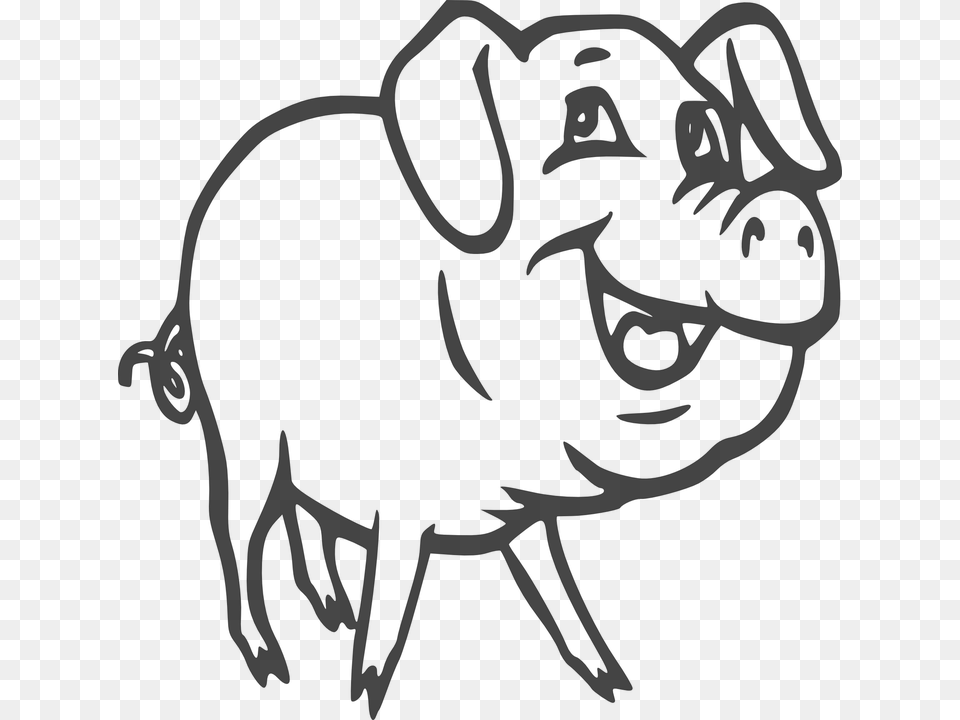 Pig Swine Hog Pork Farm Animal Domestic Meat Pig Transparent Black White, Mammal, Boar, Wildlife, Person Png