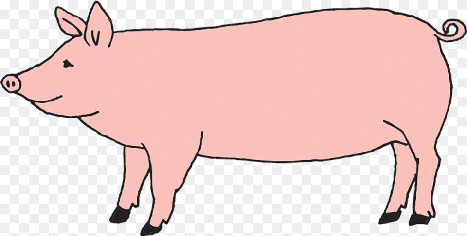 Pig Tattly Temporary Tattoos Farm Animal Set, Boar, Hog, Mammal, Wildlife Free Transparent Png